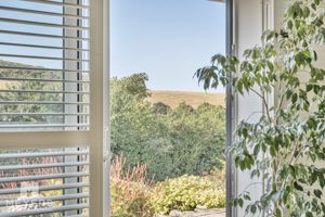 Photo 34- click for photo gallery